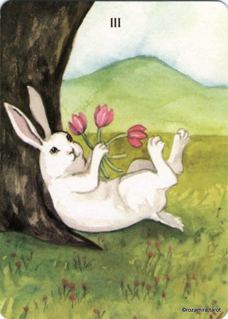 Rabbit Tarot